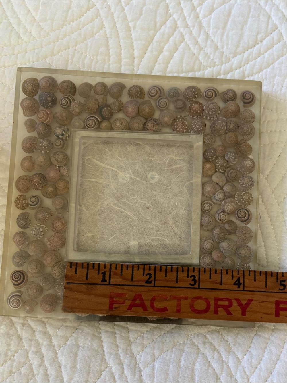 Seashell Acrylic Picture Frame 🐚 - Picture 8 of 12